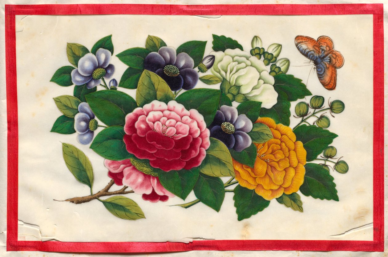 Malerei Drei aus dem illustrierten Buch der Blumen und Schmetterlinge von Unknown artist