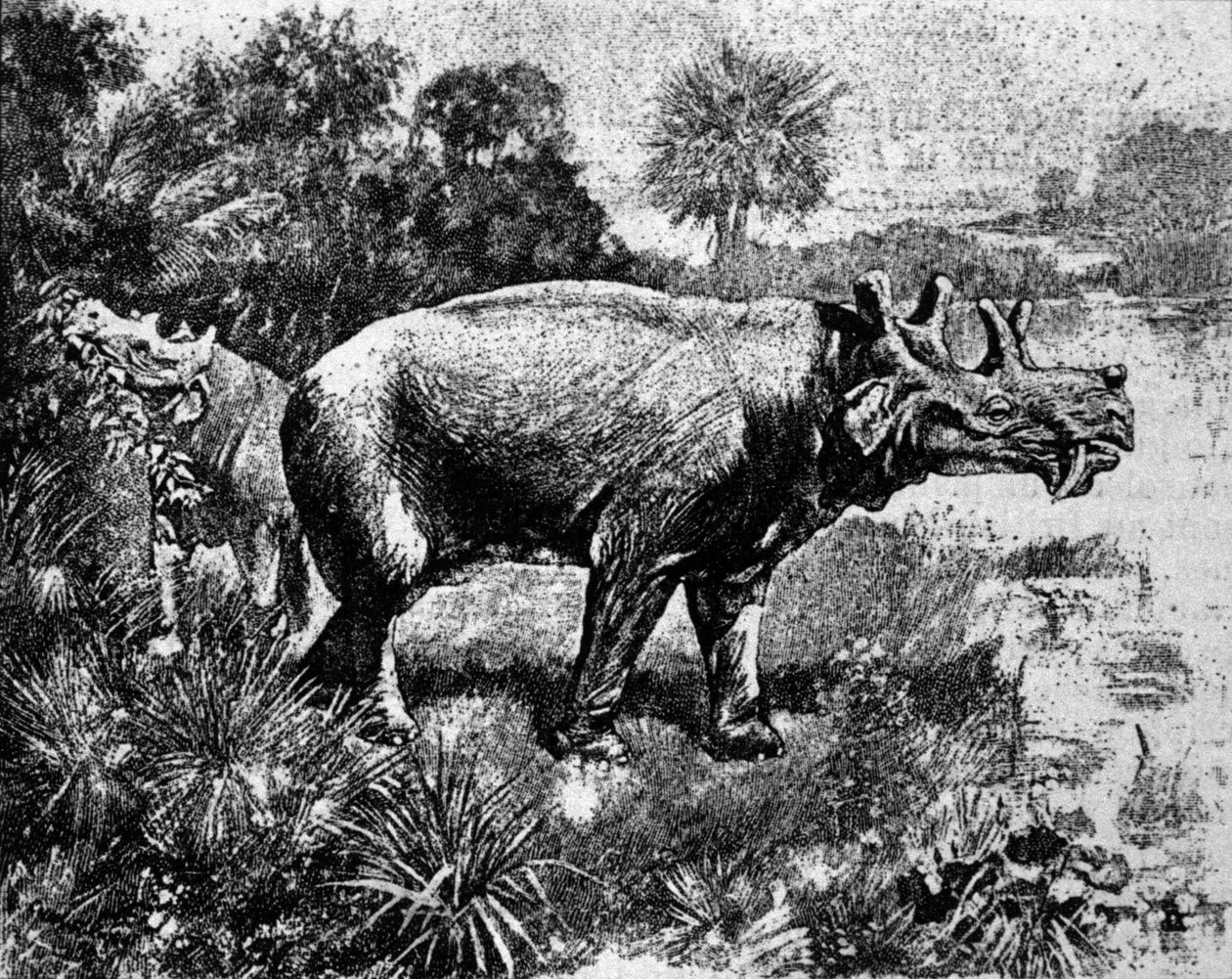 Urgeschichte: Darstellung eines vierhörnigen Uintatherium-Dinosauriers von Unknown artist