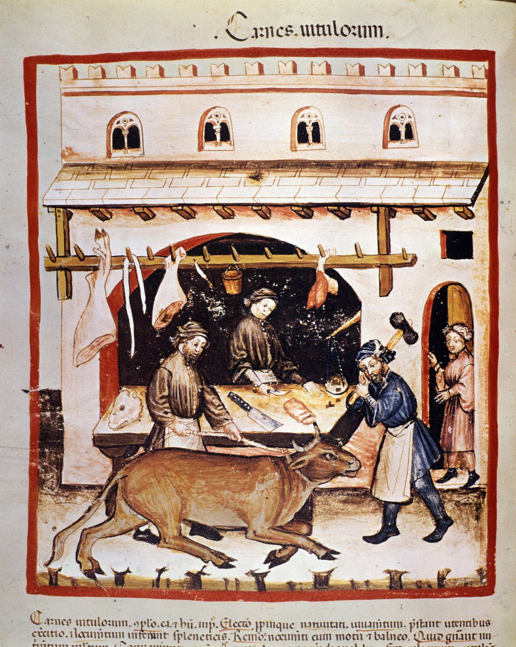 Produktion und Verkauf (Metzger) von Rindfleisch: Ein Rind wird betäubt. Beleuchtung aus der Melkung der Medizin und Diätetik „Tacuinum sanitatis“ von Unknown artist