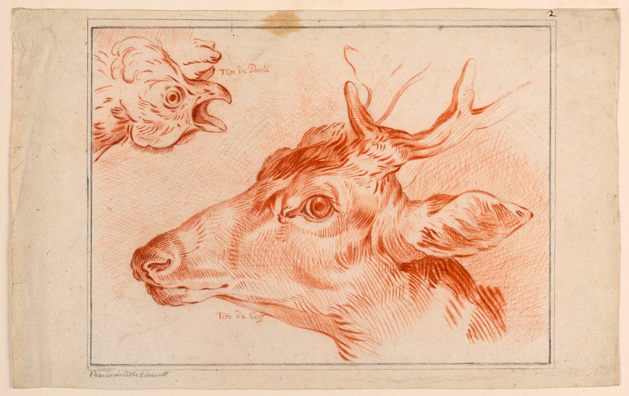 Studie der Köpfe eines Huhns und eines Hirsches von Unknown artist