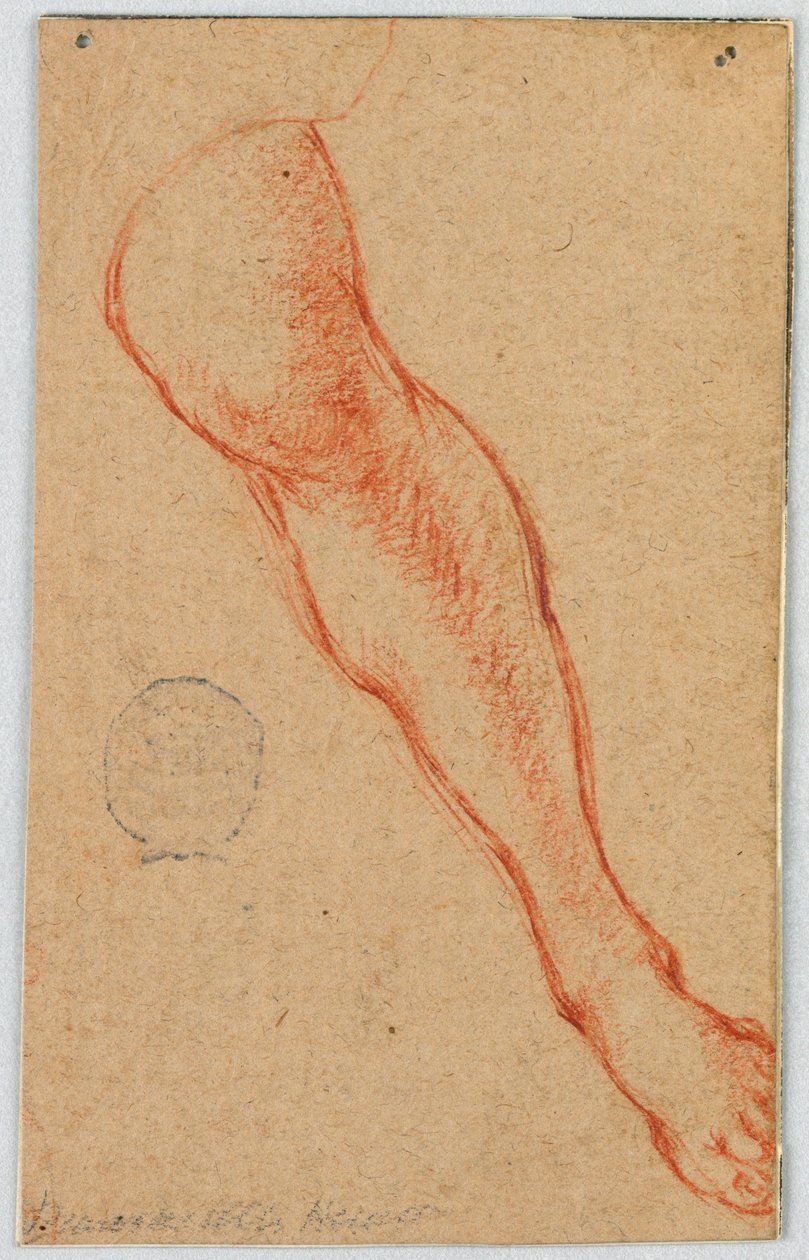 Studie des linken Beins einer sitzenden Frau von Unknown artist