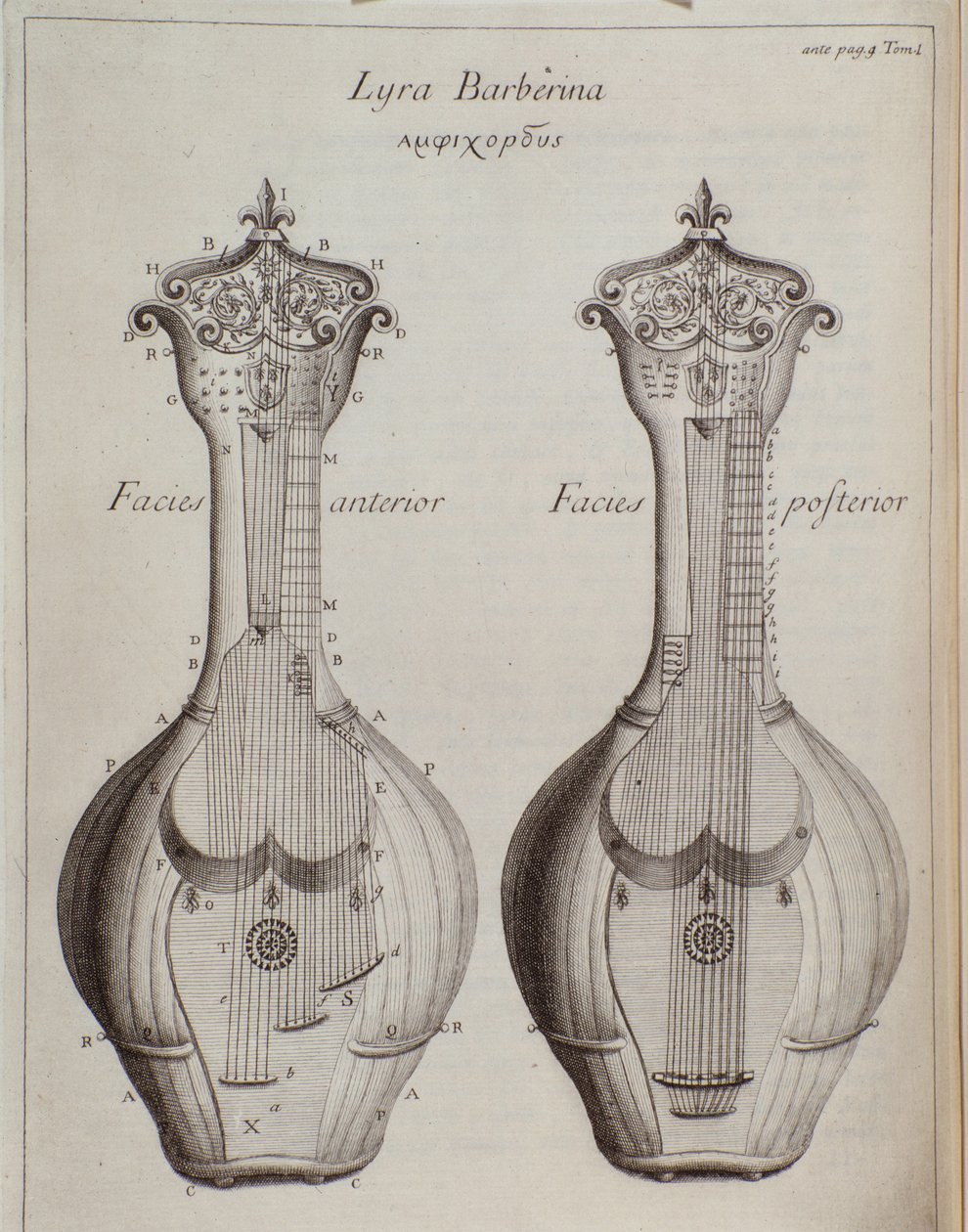 Die Lyra Barberina (Gravur) von Unknown artist