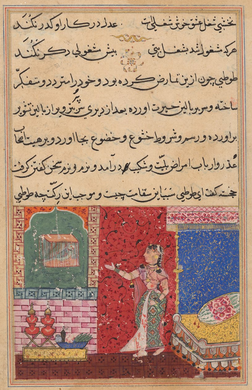 Der Papagei spricht Khujasta zu Beginn der Fünfzehnten Nacht an, aus einem Tuti-nama (Geschichten eines Papageis) von Unknown artist