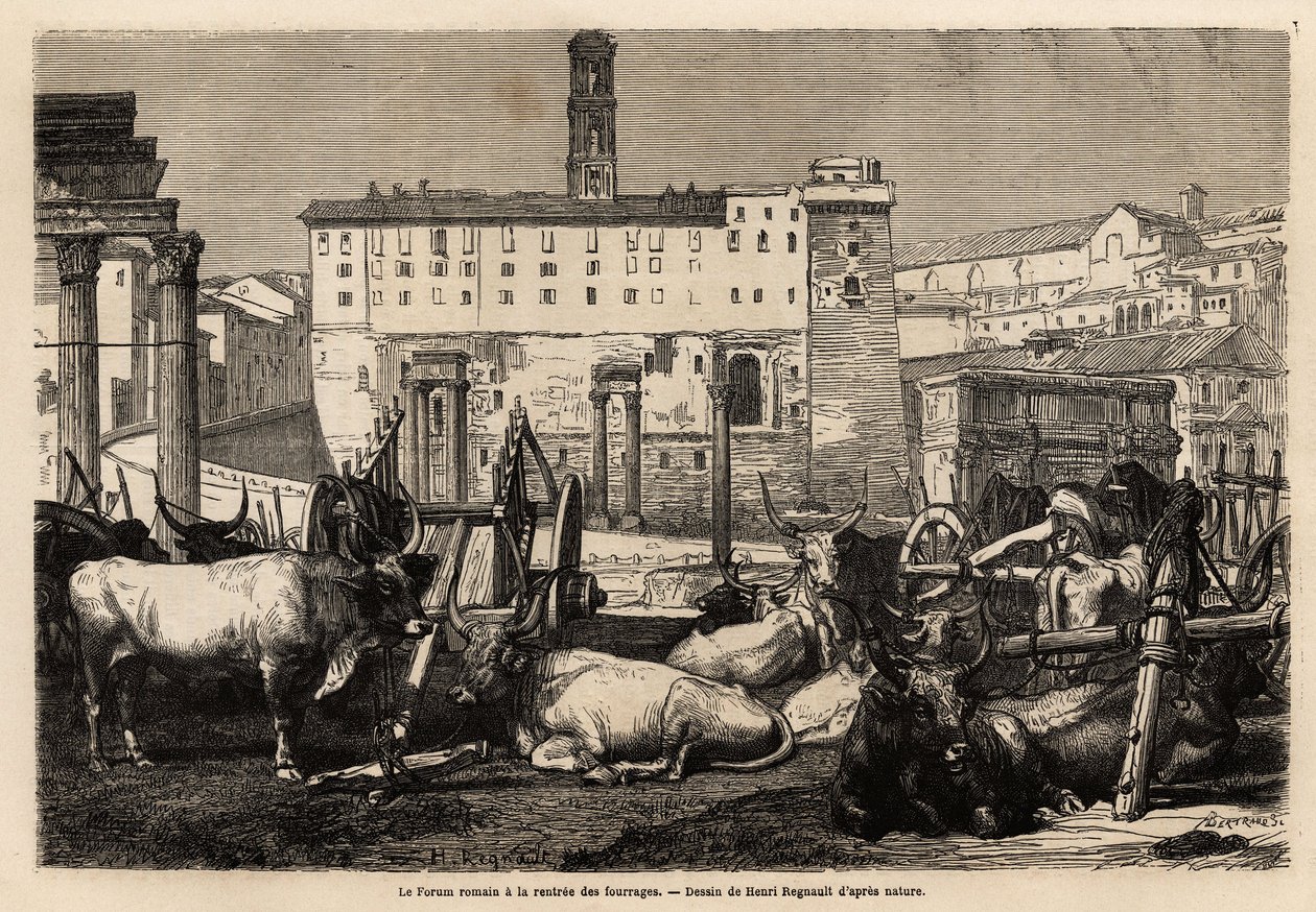 Das römische Forum hat die Miete von Futter, die Ochsen liegen inmitten von Karren und antiken Ruinen. Gravur zur Illustration der Reise nach Rom, von Francis Wey, veröffentlicht in „Le tour du monde“ 1869, herausgegeben von Edouard Charton, Edition Hachet von Unknown artist