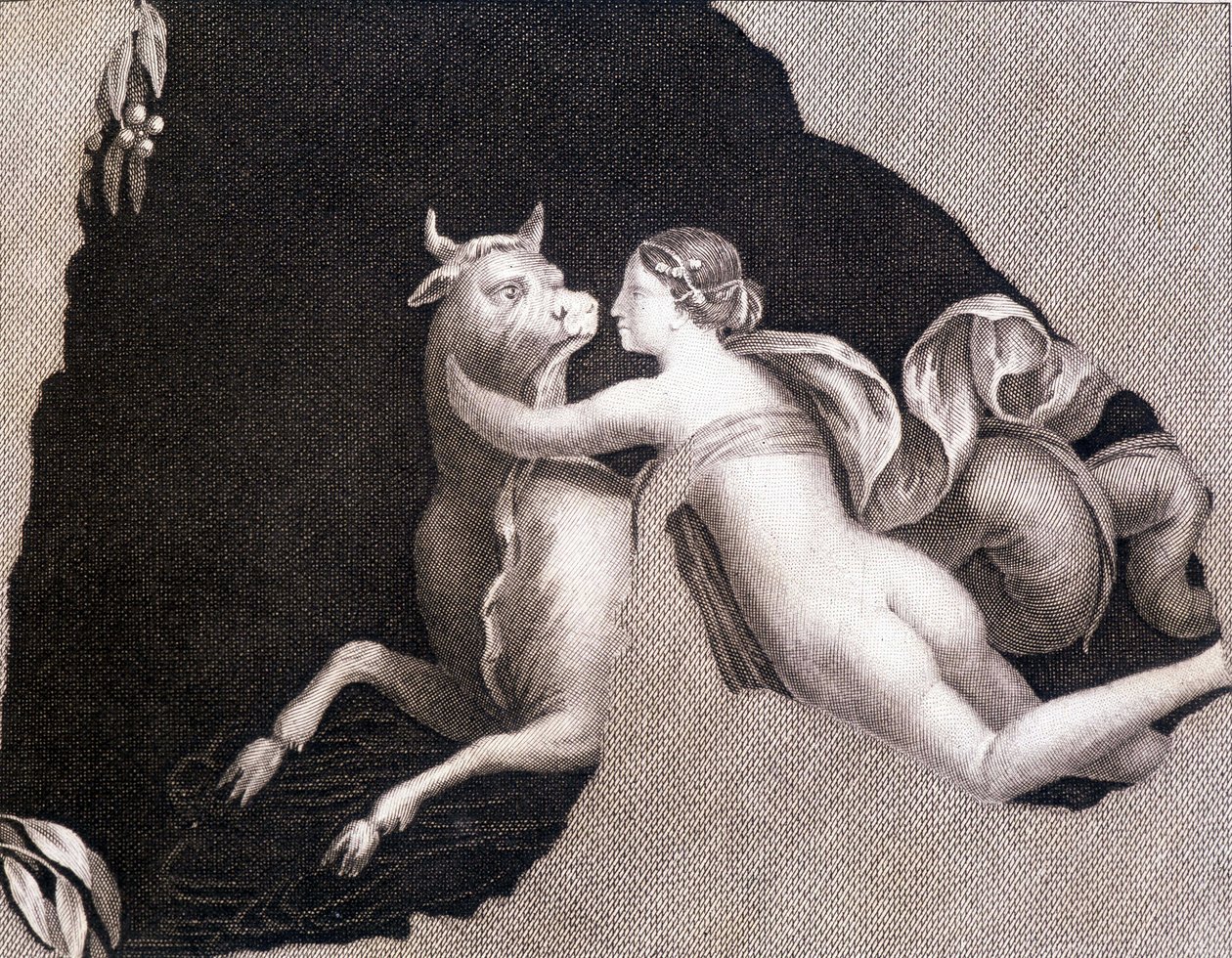 Die Entführung Europas - Gravur von Unknown artist
