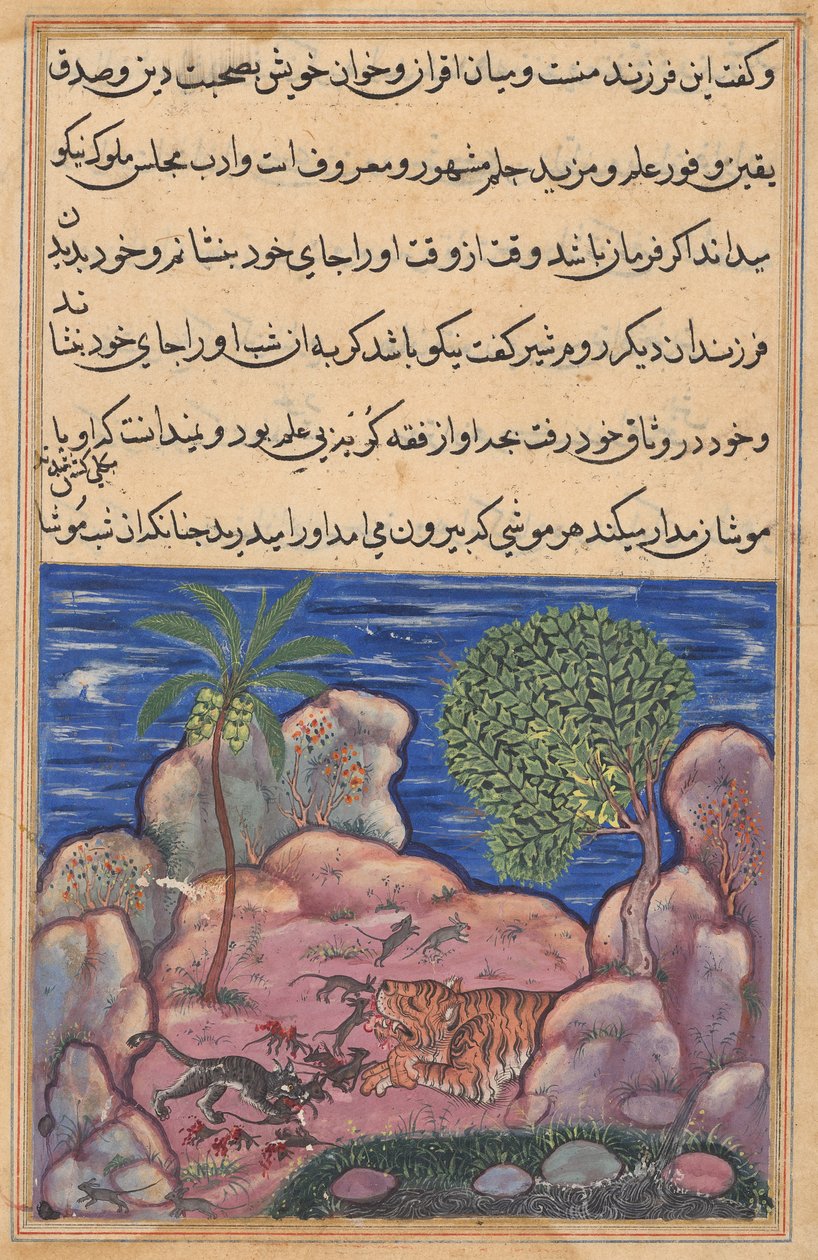 Die Katze greift die Mäuse an, die den Löwen stören, aus einem Tuti-nama (Geschichten eines Papageis): Fünfzehnte Nacht von Unknown artist