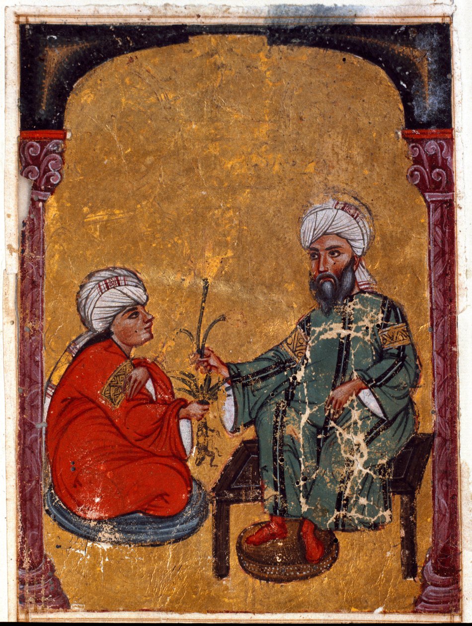 Der Arzt und Botaniker Pedanius Dioscorides (40-90 n. Chr.) erklärt einem seiner Schüler die Tugenden von Pflanzen, abgeleitet aus seinem Traktat „De materia medica“ (Fol. 2 verso). Aus dem Irak. 1229 Topkapi Sarayi Museum Bibliothek, Istanbul von Unknown artist