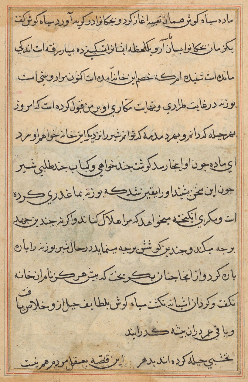 Tuti-nama (Geschichten eines Papageis) von Unknown artist