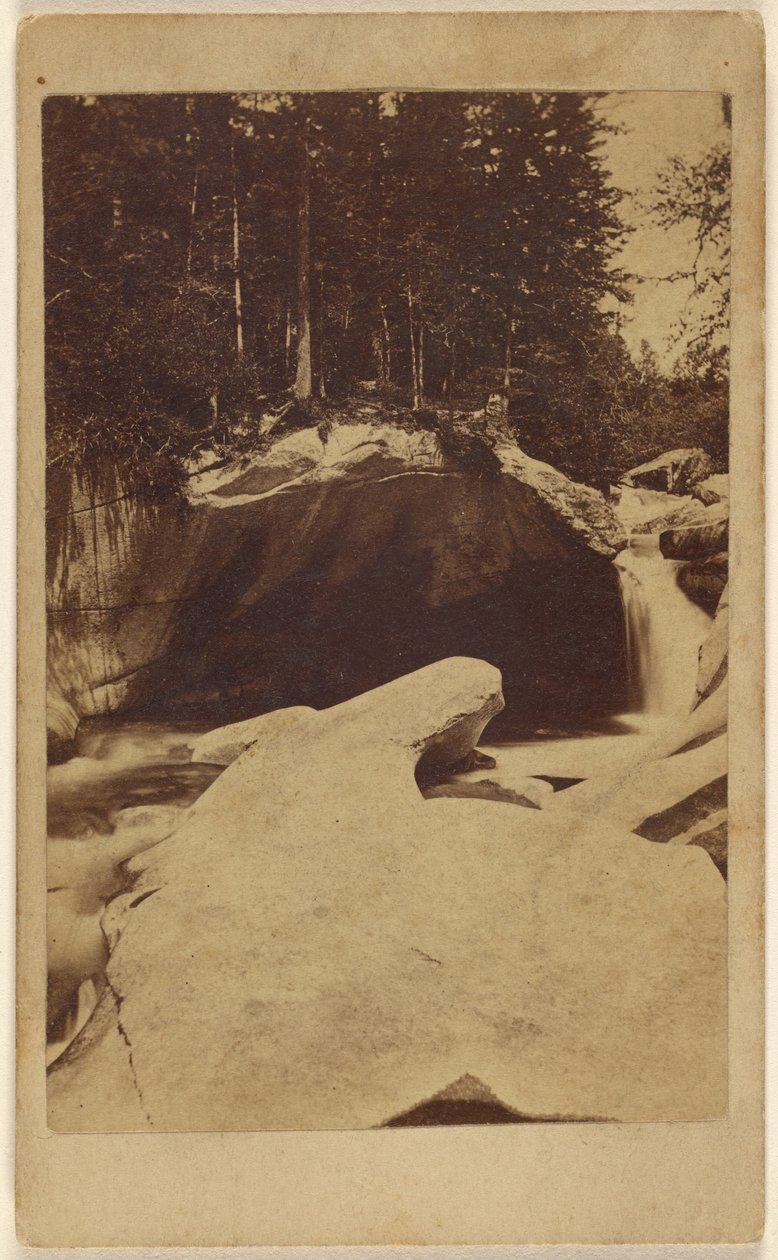 [Unidentifizierte Waldansicht mit Felsen und Höhle] von Unknown artist