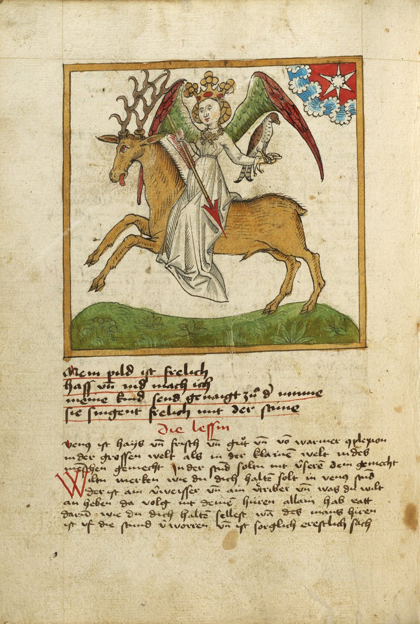 Venus reitet auf einem Hirsch von Unknown artist
