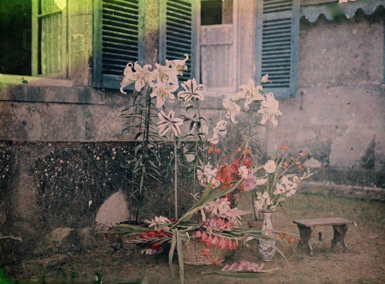 Geschichte der Fotografie: Blumenzusammensetzung von Unknown photographer