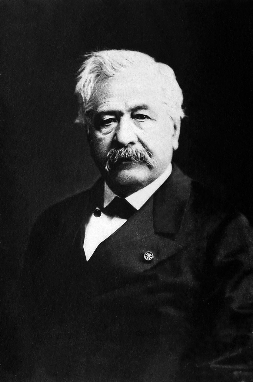 Porträt von Ferdinand de Lesseps (1805-1894), französischer Diplomat und Unternehmer. von Unknown photographer