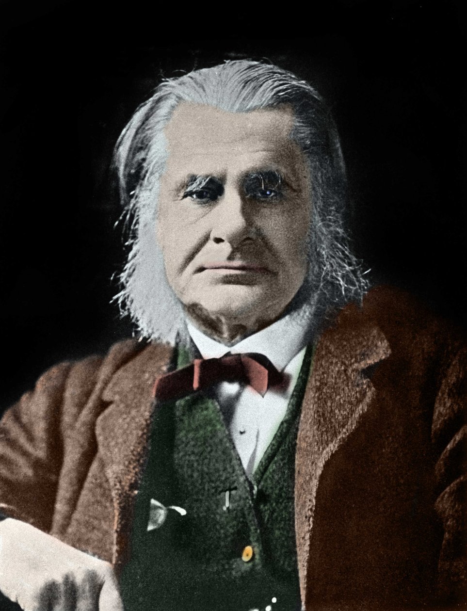 Porträt von Thomas Henry Huxley. Britischer Biologe (1825-1895). von Unknown photographer