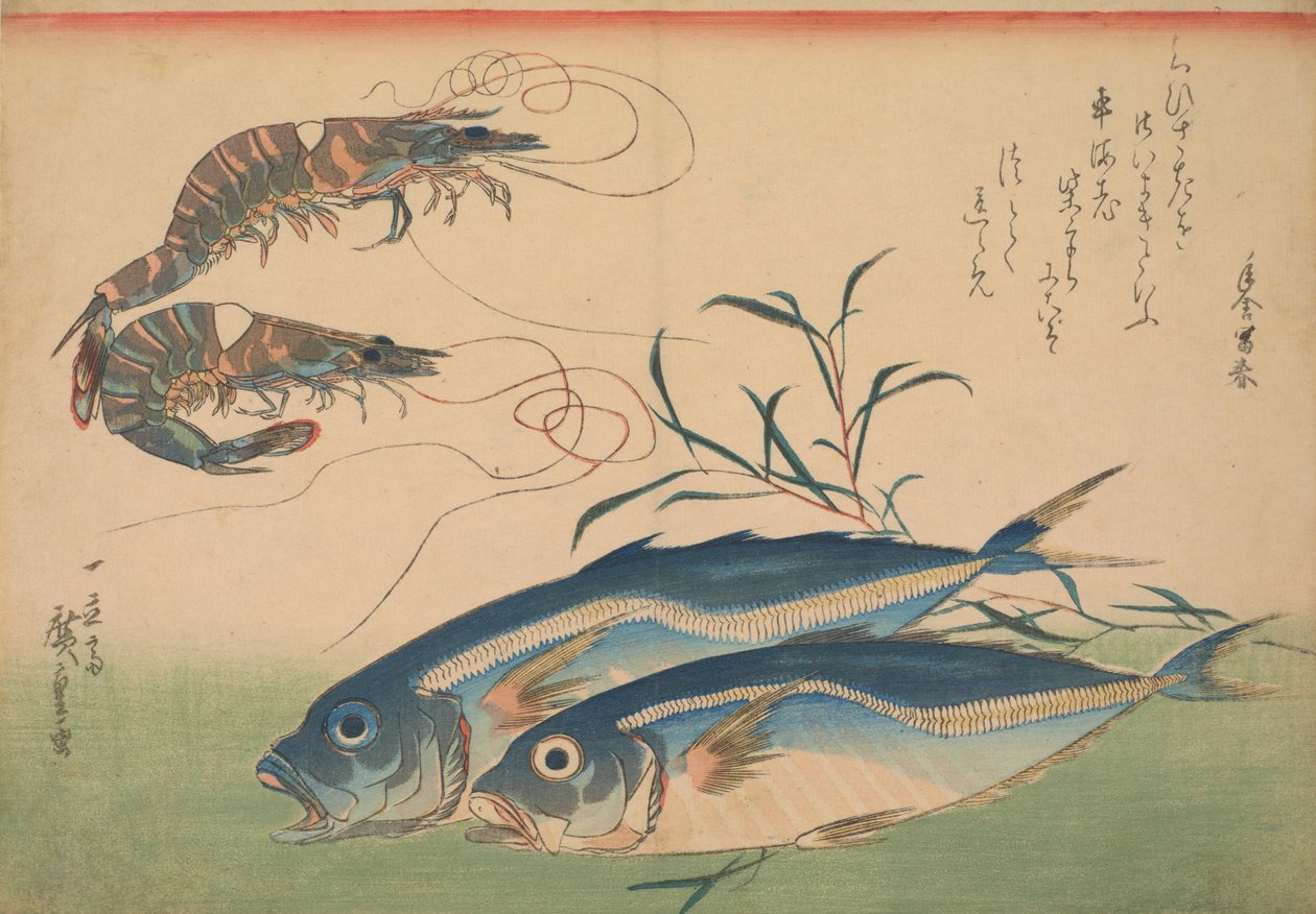 Pferdemakrele (Aji) mit Garnele, mit Inschrift von Utagawa Hiroshige