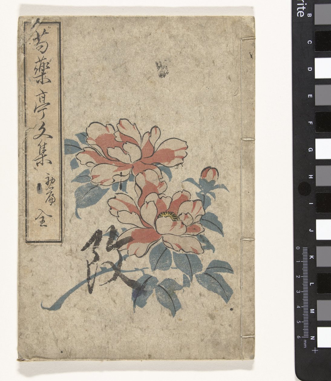 Anthologie der Pfingstrosen von Utagawa (school of)