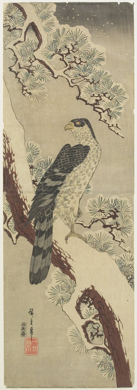 (Falke auf Kieferzweig, Winter), frühes 19. Jahrhundert von Utagawa Hiroshige