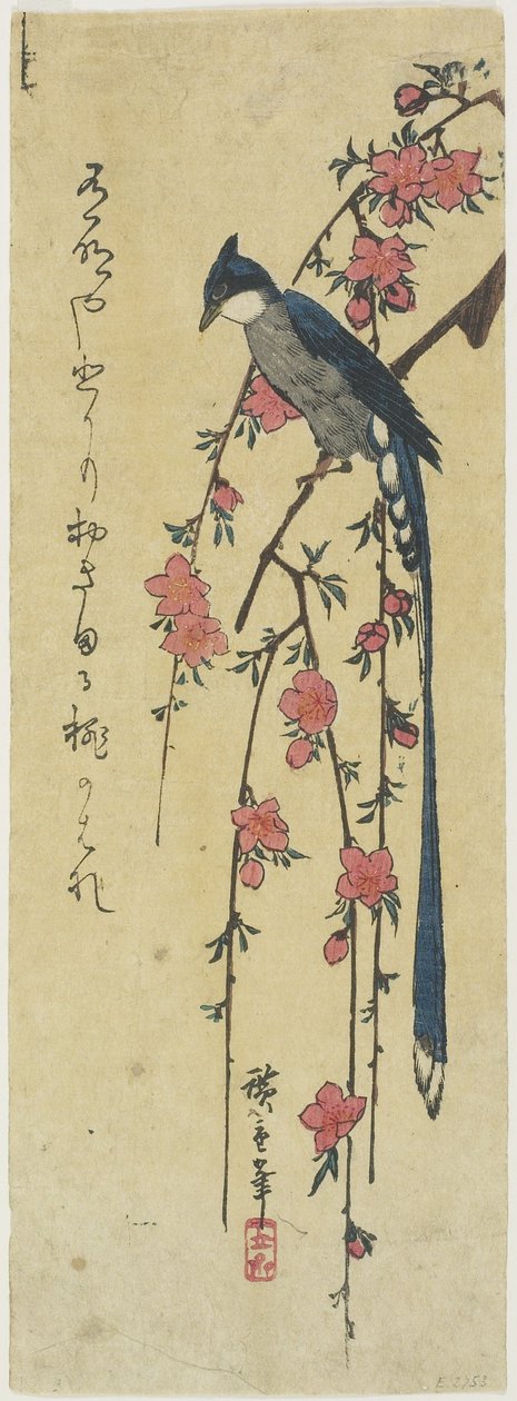 Langschwanzhahn auf hängendem Kirschbaum von Utagawa Hiroshige