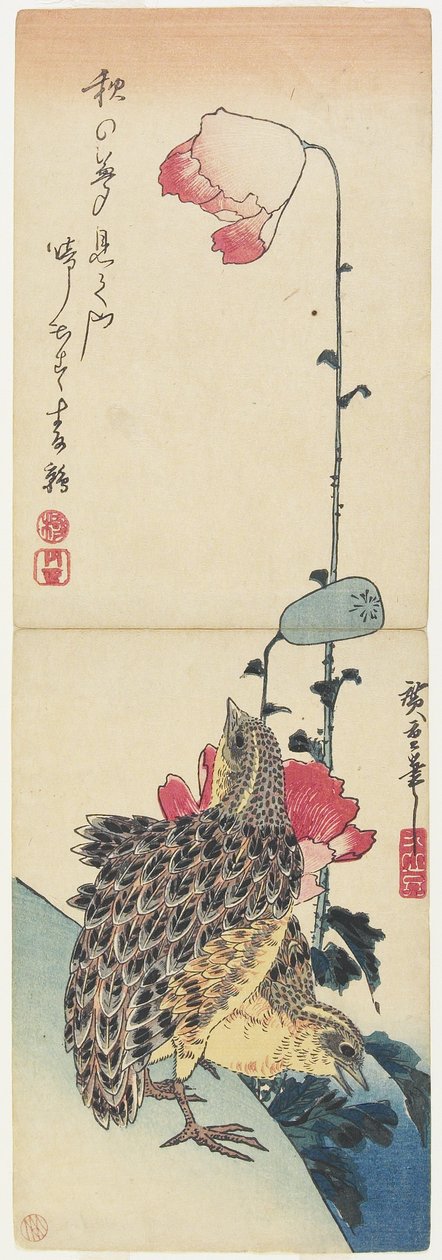 (Wachteln und Mohnblumen), 1830-1858 von Utagawa Hiroshige