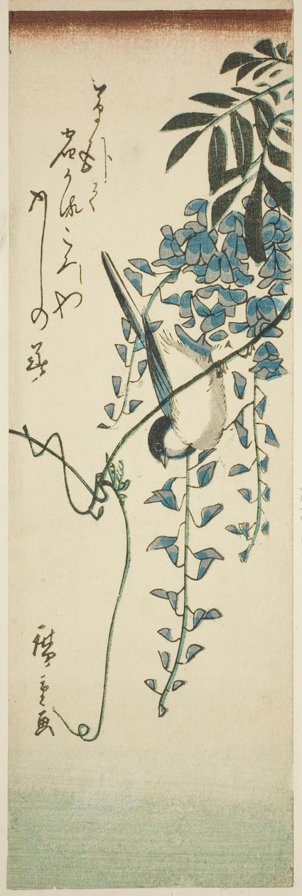 Vogel und Glyzinie von Utagawa Hiroshige