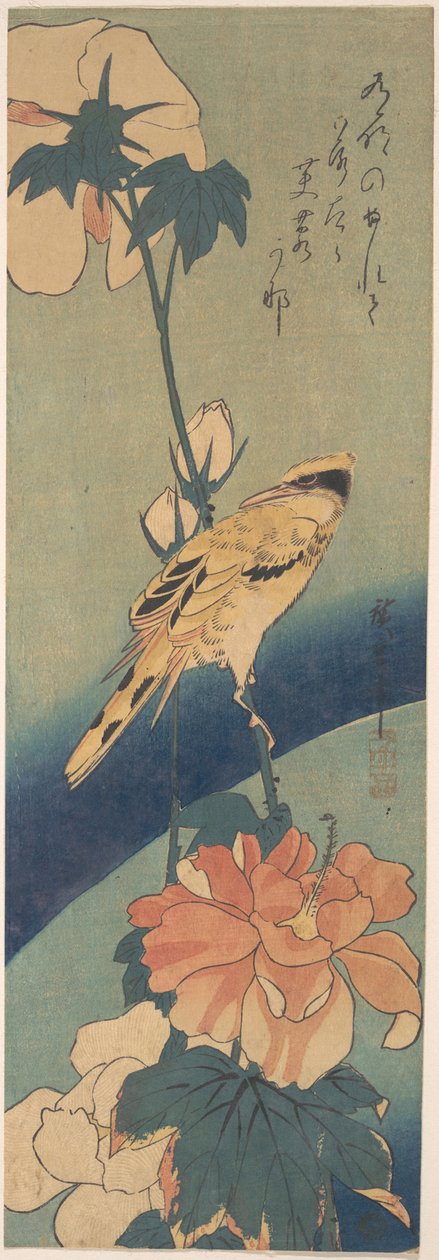 Schwarzrückenpirol auf einem Hibiskusstängel von Utagawa Hiroshige