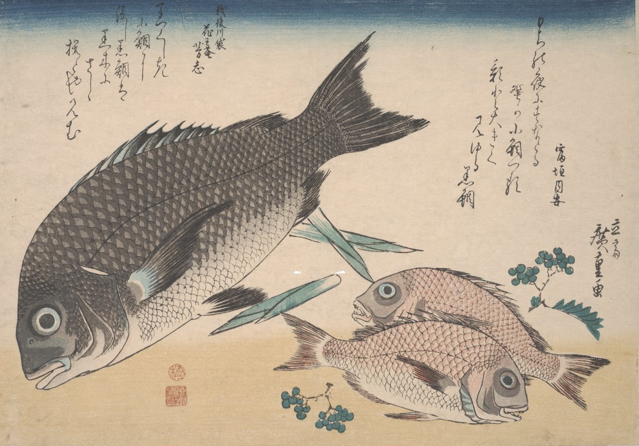 Schwarzer Seebrassen, kleiner Seebrassen, Spargeltriebe und Sansho-Pfeffer, ca. 1830 von Utagawa Hiroshige