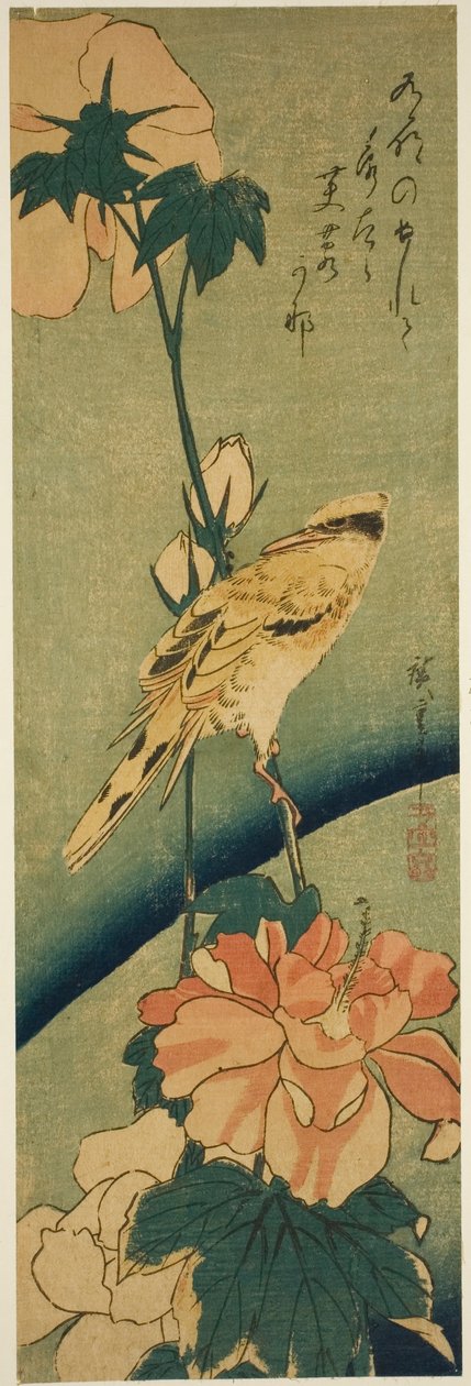 Schwarzrückenpirol auf Hibiskus von Utagawa Hiroshige