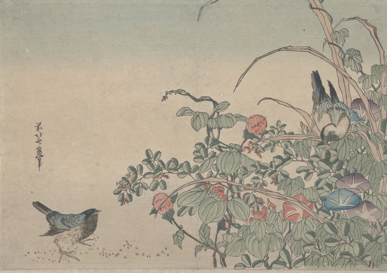 Blaukehlchen mit Morgenruhm und Lespedeza, ca. 1833 von Utagawa Hiroshige