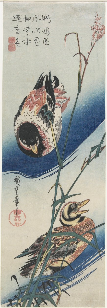 Enten und Schilf, 1834-1839 von Utagawa Hiroshige