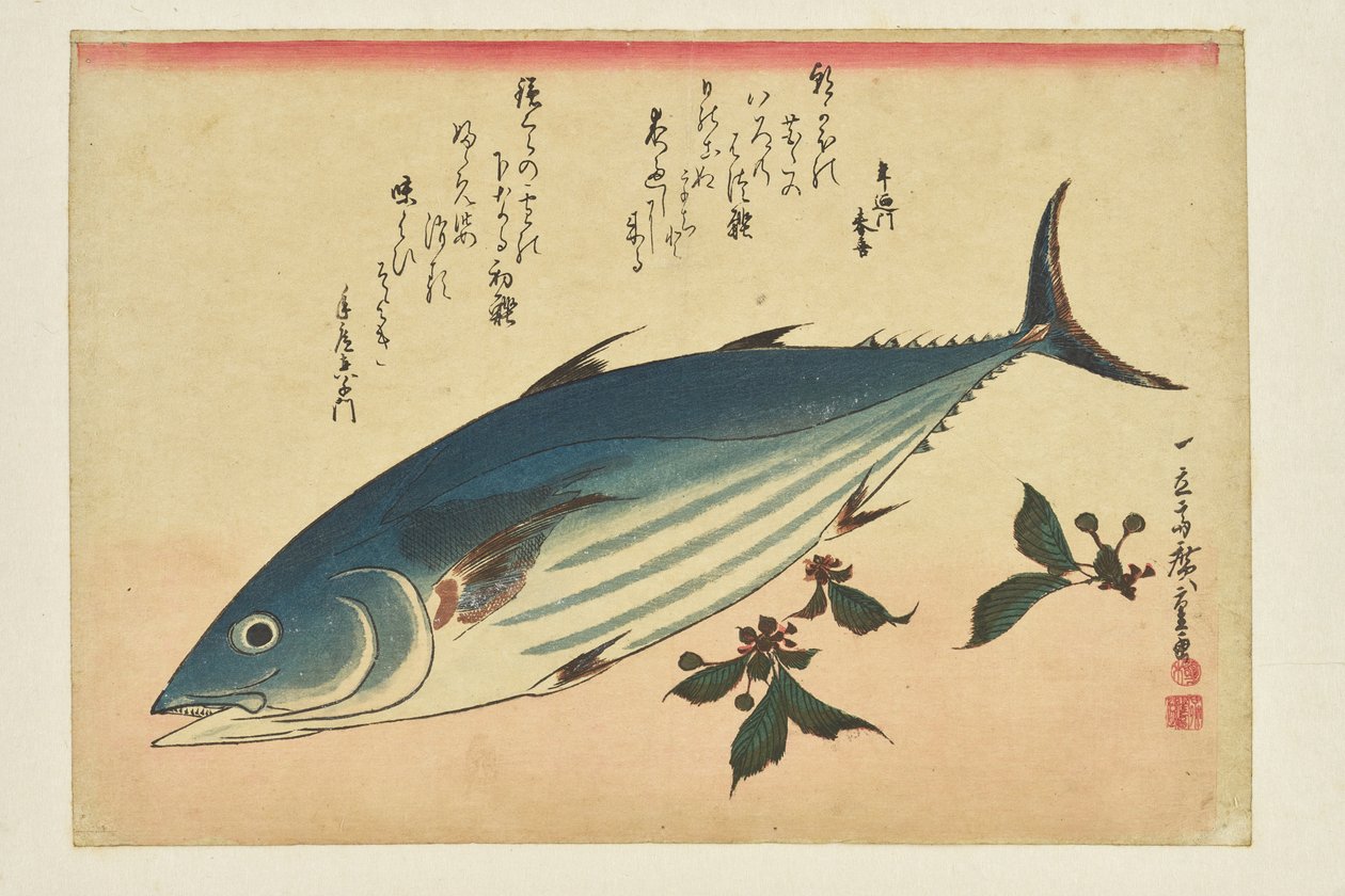 Fischdruck: Bonito und Kirschen aus der Serie »Ein Schwarm Fische« von Utagawa Hiroshige