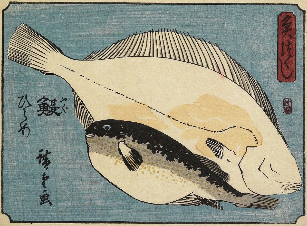 Kugelfisch und Flunder, 1830-1844 von Utagawa Hiroshige