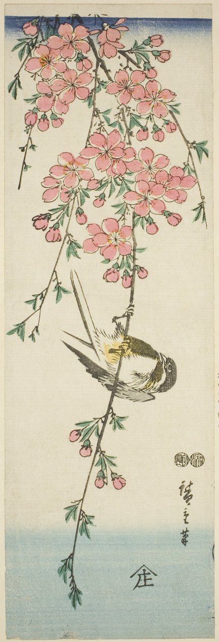 Kohlmeise und Kirschblüten von Utagawa Hiroshige