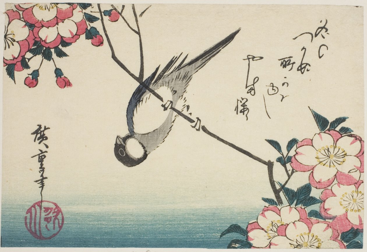 Kohlmeise auf Kirschblütenzweig von Utagawa Hiroshige