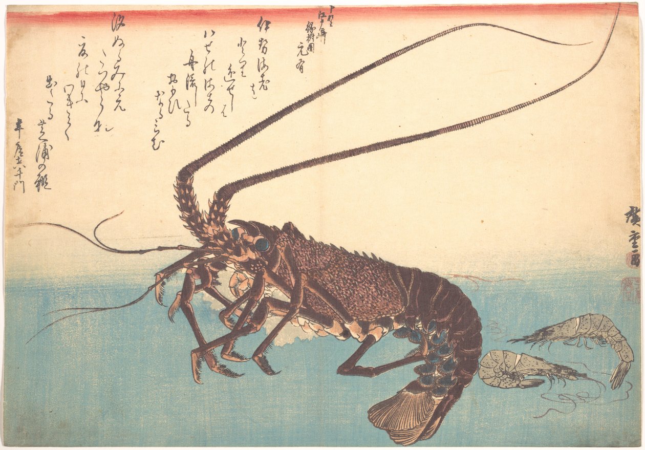 Ise-ebi und Shiba-ebi, aus der Serie Uozukushi (Jede Fischart) von Utagawa Hiroshige