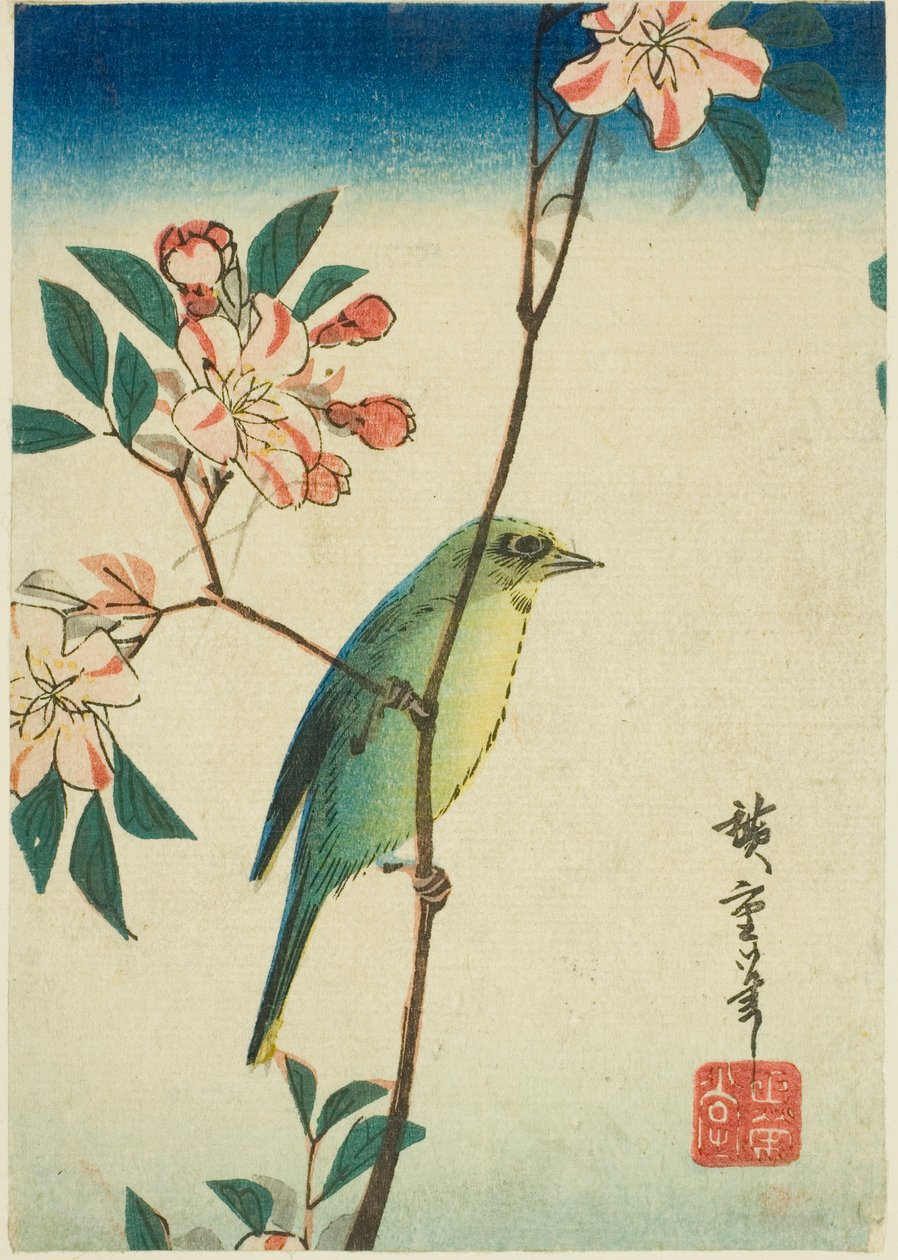 Japanische Weißaugen auf blühendem Zweig von Utagawa Hiroshige
