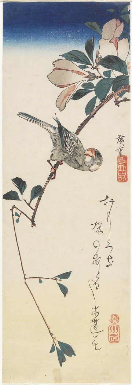 Java-Spatz und Magnolie, 1834-1839 von Utagawa Hiroshige