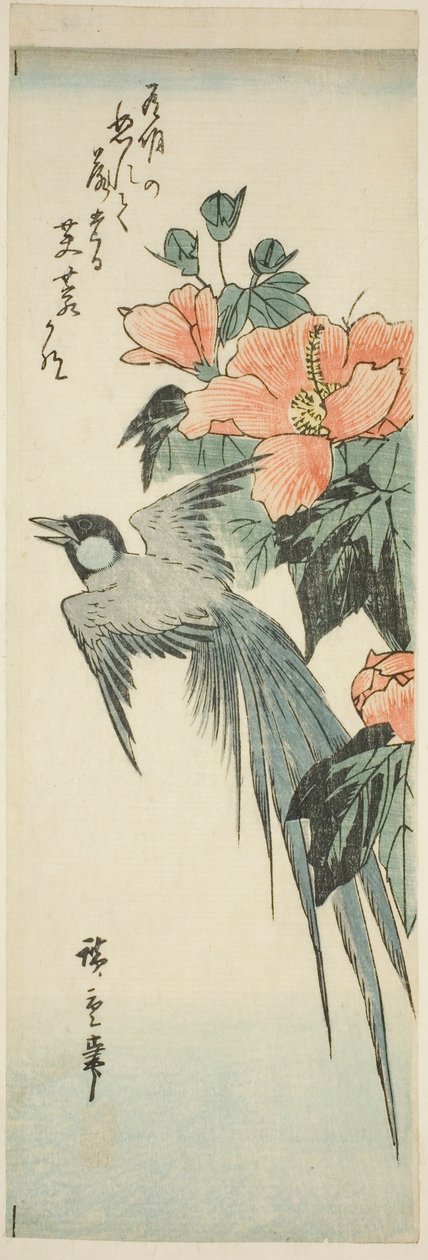 Langschwanzvogel und Hibiskus von Utagawa Hiroshige