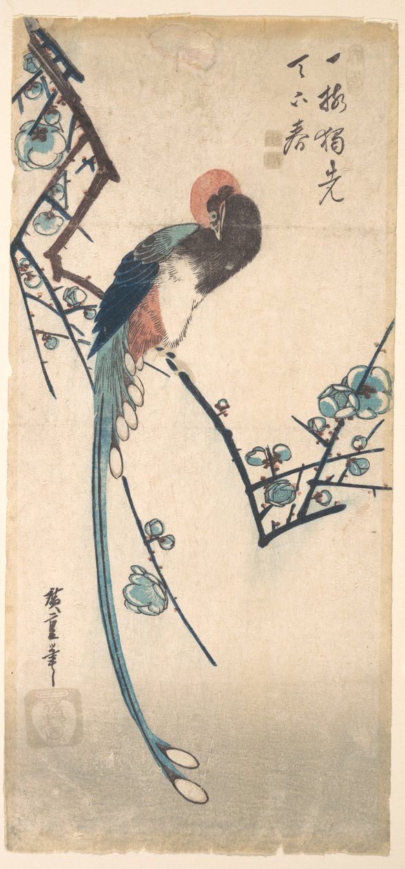 Langschwänziger Vogel von Utagawa Hiroshige
