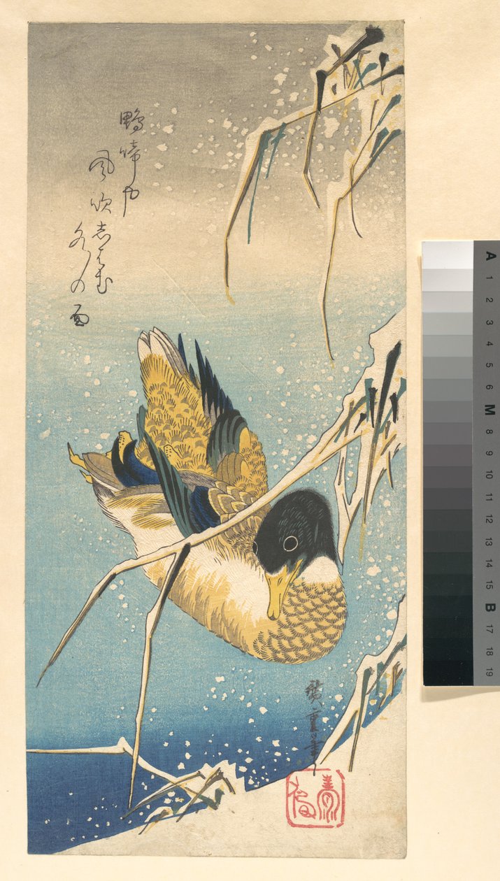Stockente und schneebedeckte Schilfrohre von Utagawa Hiroshige