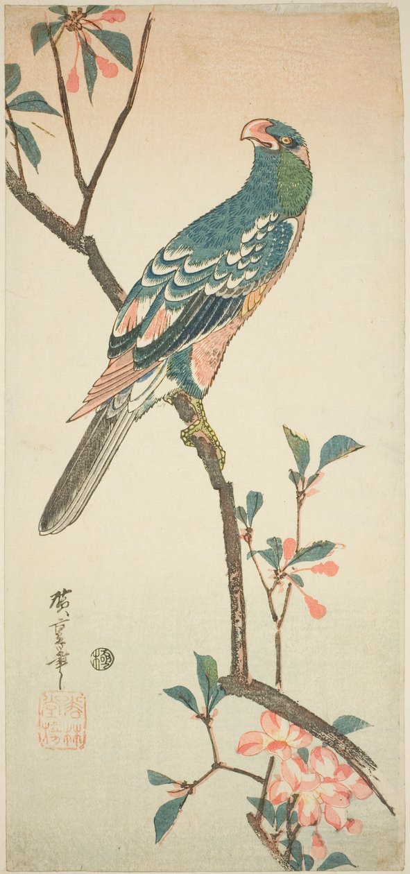 Papagei auf einem blühenden Ast von Utagawa Hiroshige
