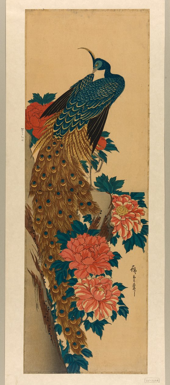 Pfau und Pfingstrosen von Utagawa Hiroshige