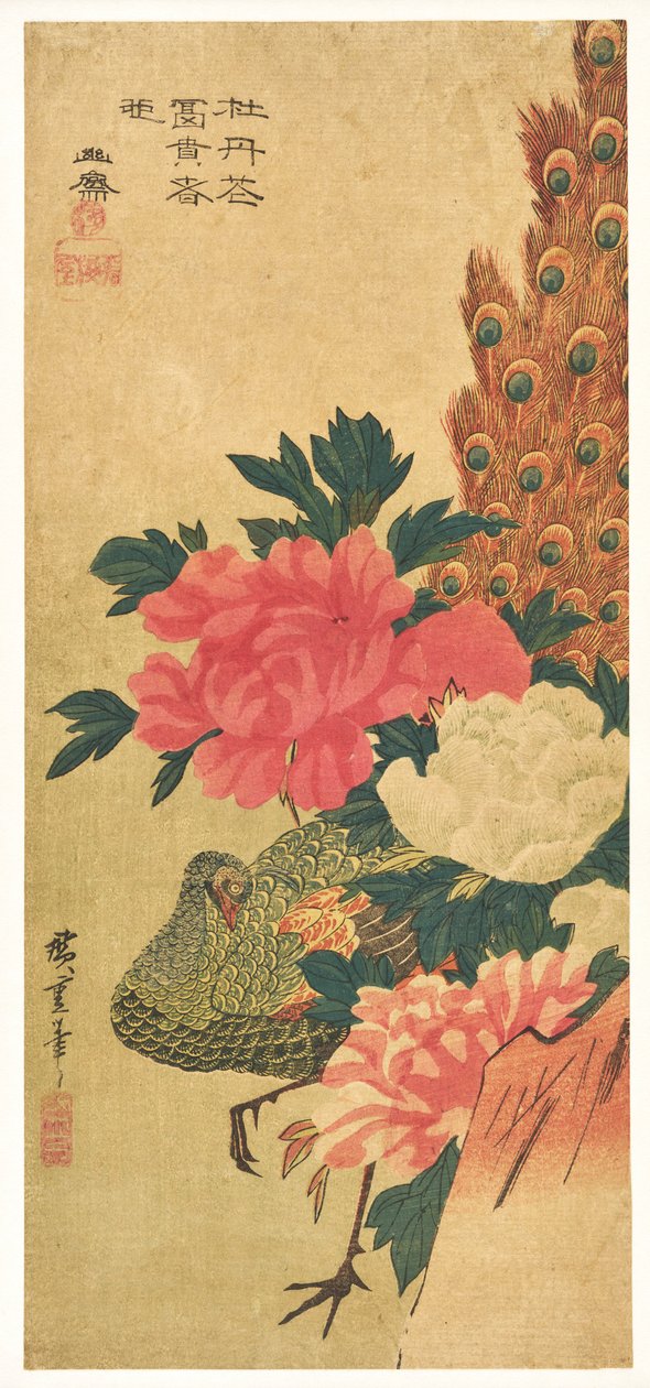 Pfingstrosen und Pfau von Utagawa Hiroshige