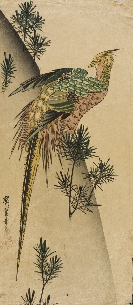 Fasan zwischen Kieferntrieben von Utagawa Hiroshige