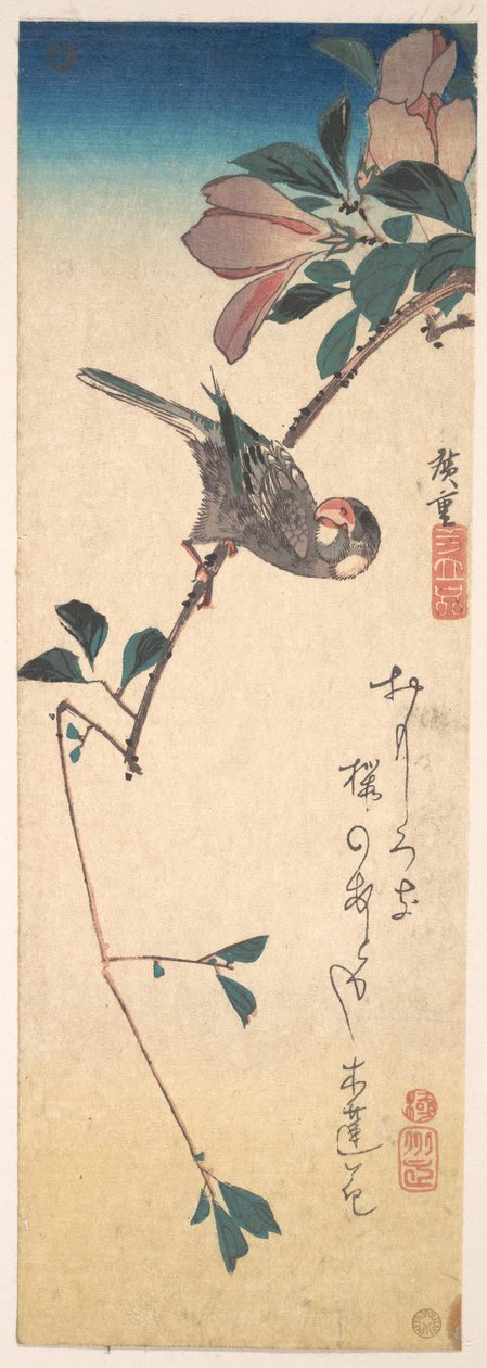 Purpurmagnolie und Hornvogel von Utagawa Hiroshige