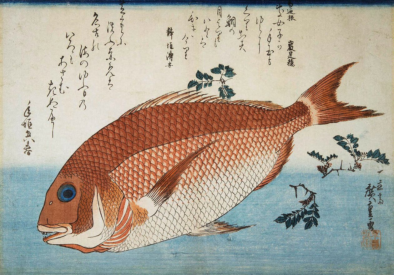 Roter Schnapper, 1832-1834 von Utagawa Hiroshige