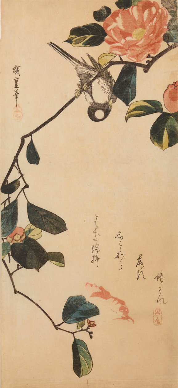 Meise auf einem blühenden Kamelienzweig von Utagawa Hiroshige