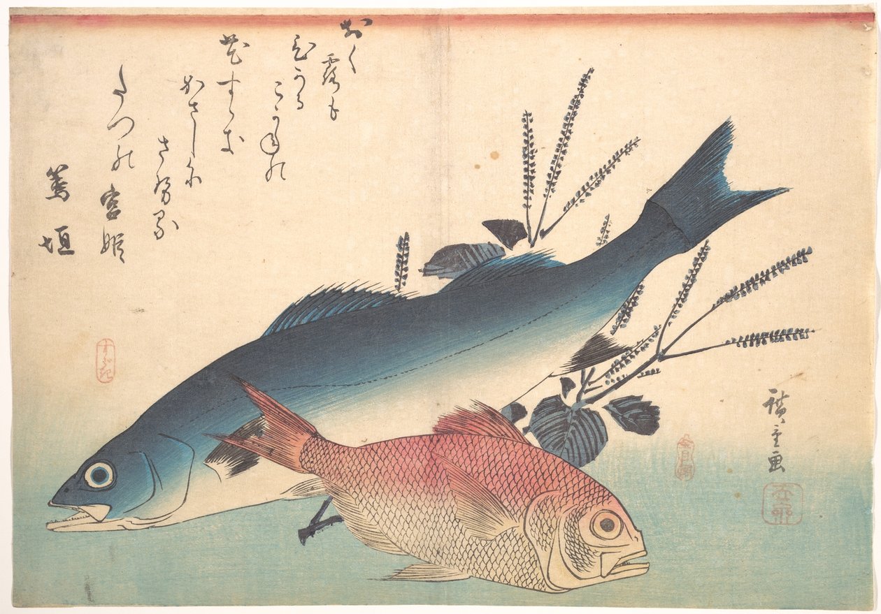 Suzuki und Kinmedai-Fisch aus der Serie Uozukushi (Jede Fischart) von Utagawa Hiroshige