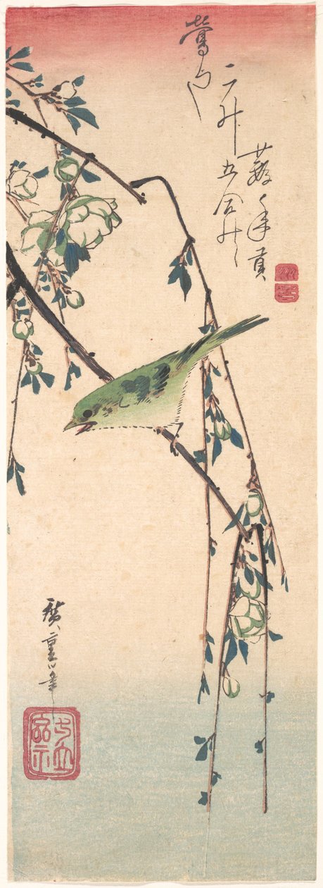 Grasmücke auf einem Pflaumenzweig von Utagawa Hiroshige