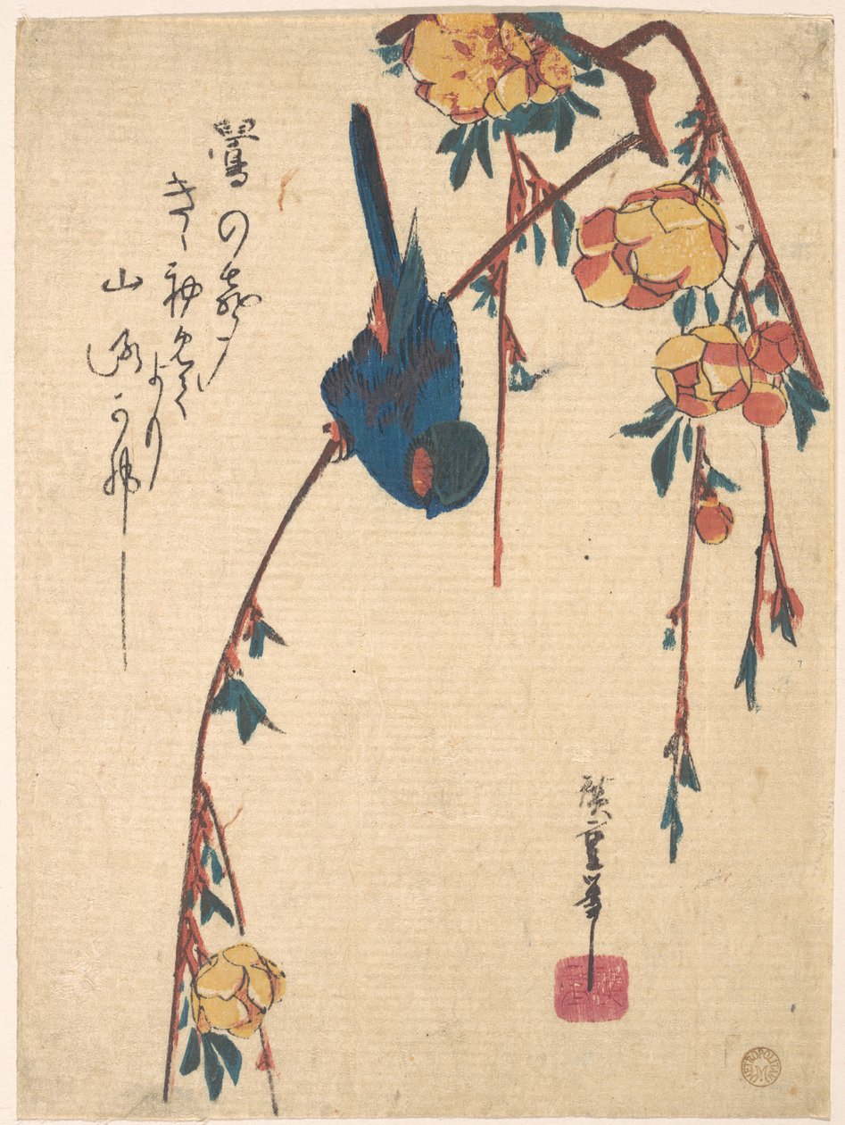 Weinende Kirsche und Blaukehlchen von Utagawa Hiroshige