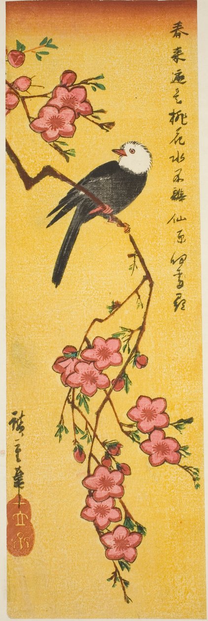 Weißköpfiger Vogel auf Pfirsichzweig von Utagawa Hiroshige