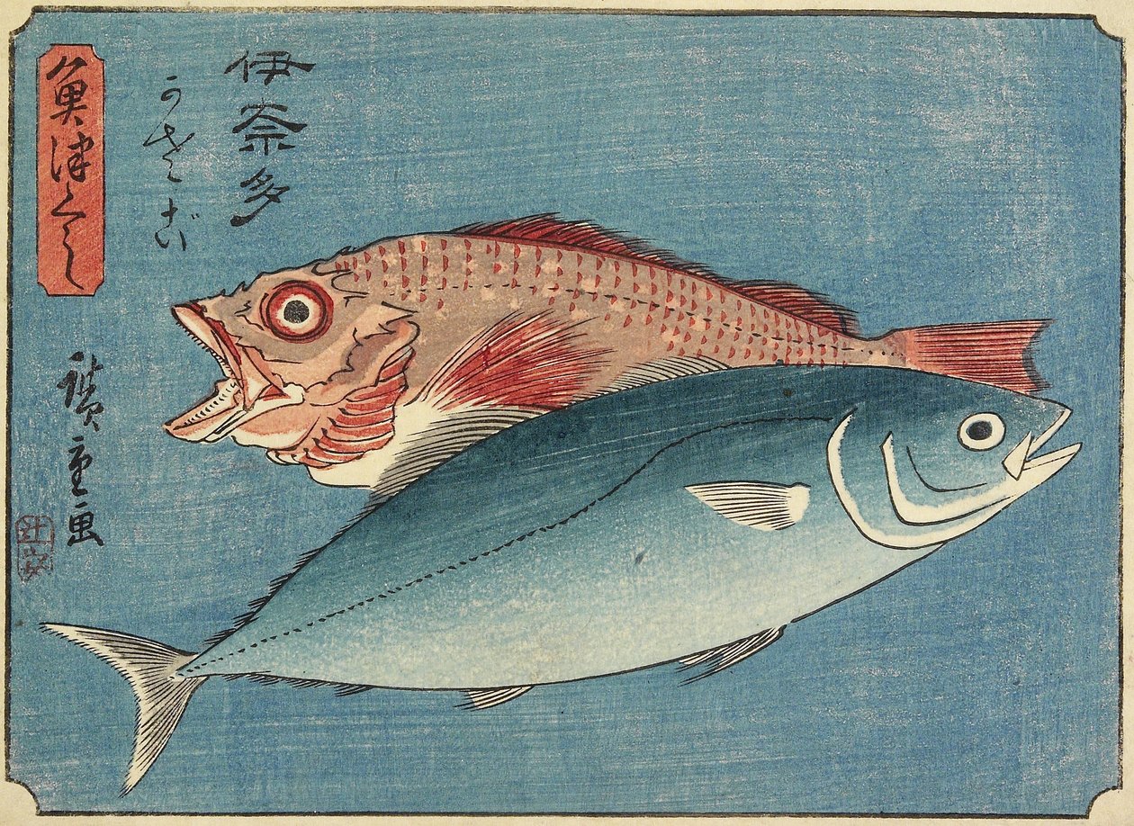 Gelbschwanz und Felsenfisch, 1830-1844 von Utagawa Hiroshige